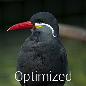 Optimized image
